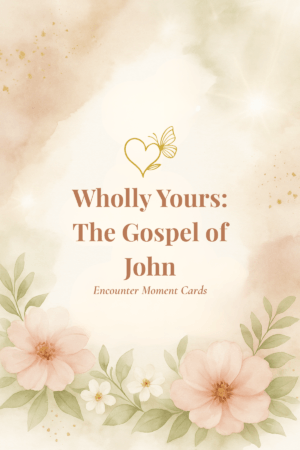 Wholly Yours: The Gospel of John – 4 x 6 Encounter Moment Cards.